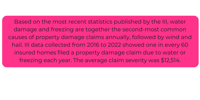 Home water damage and freezing are the second-most common causes of property damage claims